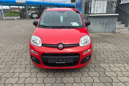 Fiat Panda Gebrauchtwagen