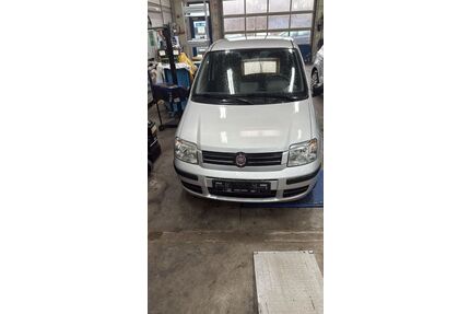 Fiat Panda Gebrauchtwagen