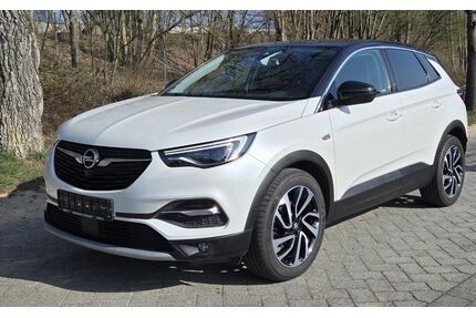 Opel Grandland (X) Gebrauchtwagen