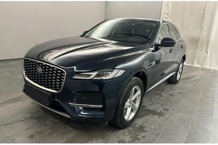 Jaguar F-Pace Gebrauchtwagen