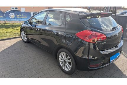 Kia ceed / Ceed Gebrauchtwagen