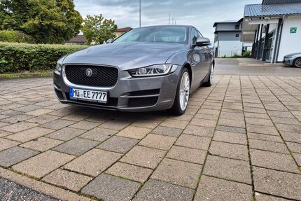 Jaguar XE Gebrauchtwagen