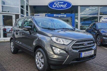 Ford EcoSport Gebrauchtwagen