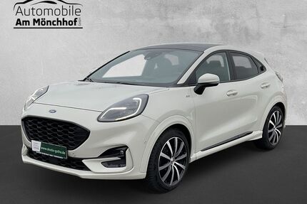 Ford Puma Gebrauchtwagen