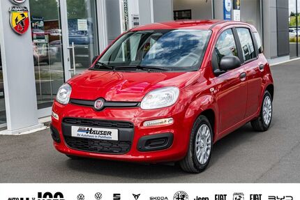 Fiat Panda Gebrauchtwagen