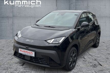 BYD DOLPHIN Gebrauchtwagen
