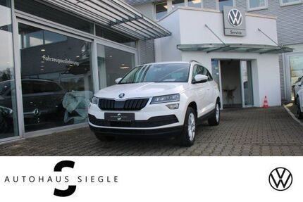 Skoda Karoq Gebrauchtwagen