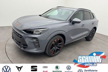 Cupra Terramar Gebrauchtwagen