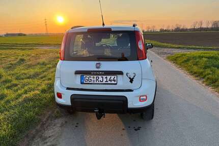 Fiat Panda Gebrauchtwagen
