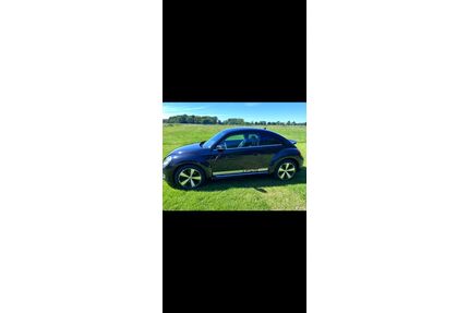 VW New Beetle Gebrauchtwagen