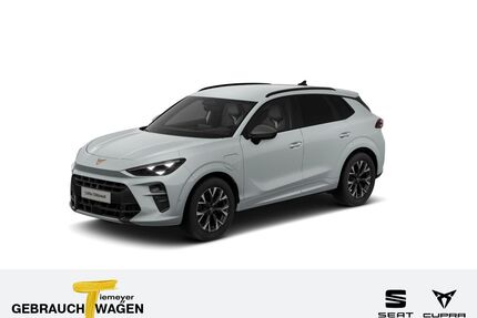 Cupra Terramar Gebrauchtwagen