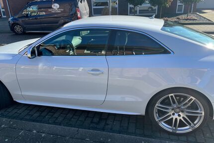 Audi S5 Gebrauchtwagen