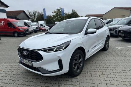 Ford Kuga Gebrauchtwagen