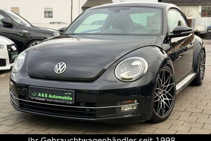 VW Beetle Gebrauchtwagen