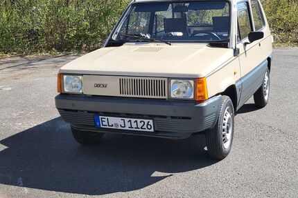 Fiat Panda Gebrauchtwagen