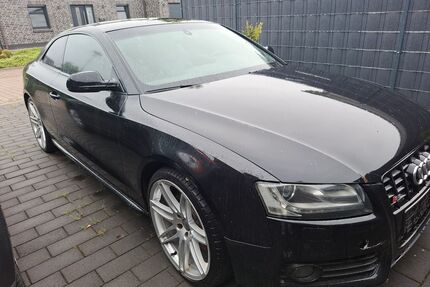 Audi S5 Gebrauchtwagen