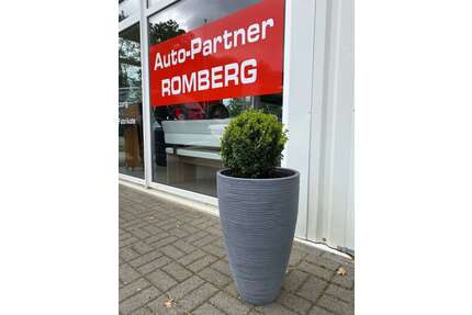 Ford Fusion Gebrauchtwagen