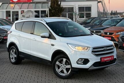 Ford Kuga Gebrauchtwagen