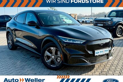 Ford Mustang Mach-E Gebrauchtwagen