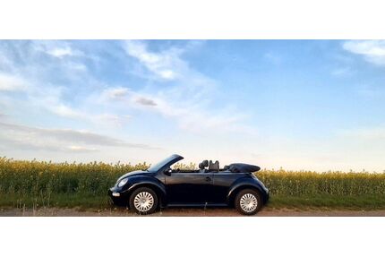 VW Beetle Gebrauchtwagen
