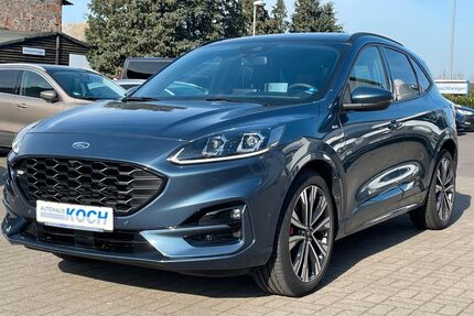 Ford Kuga Gebrauchtwagen