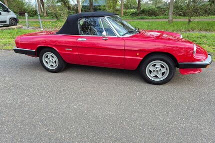 Alfa Romeo Spider Gebrauchtwagen