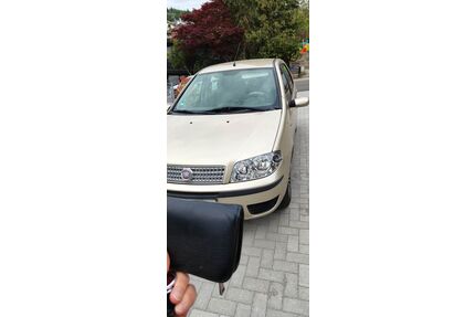 Fiat Punto Gebrauchtwagen