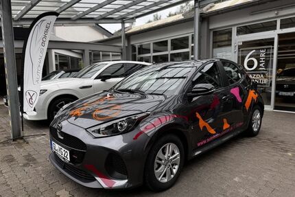 Mazda 2 Gebrauchtwagen