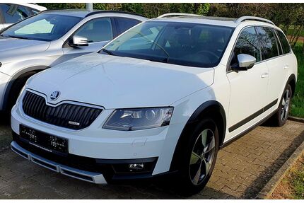 Skoda Octavia Gebrauchtwagen