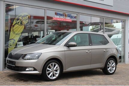 Skoda Fabia Gebrauchtwagen