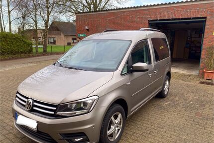 VW Caddy Gebrauchtwagen
