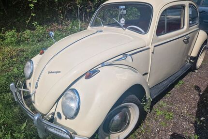 VW Käfer Gebrauchtwagen