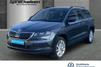 Skoda Karoq Gebrauchtwagen