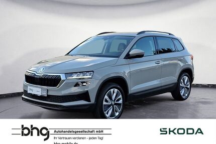 Skoda Karoq Gebrauchtwagen