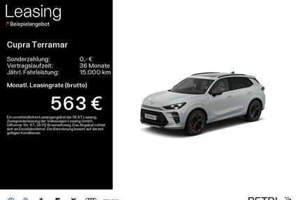 Cupra Terramar Gebrauchtwagen