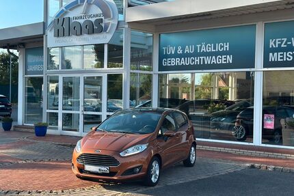 Ford Fiesta Gebrauchtwagen