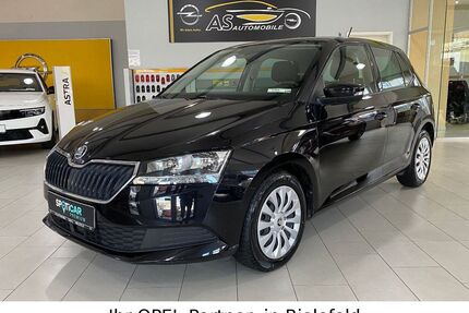 Skoda Fabia Gebrauchtwagen