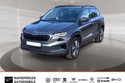Skoda Karoq Gebrauchtwagen
