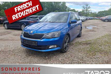 Skoda Fabia Gebrauchtwagen