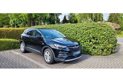 Opel Grandland (X) Gebrauchtwagen
