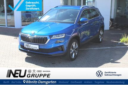 Skoda Karoq Gebrauchtwagen