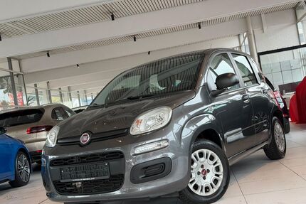 Fiat Panda Gebrauchtwagen