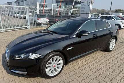 Jaguar XF Gebrauchtwagen