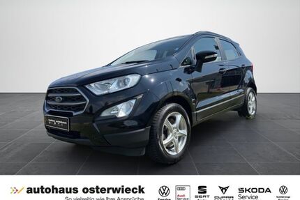 Ford EcoSport Gebrauchtwagen