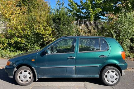 VW Polo Gebrauchtwagen