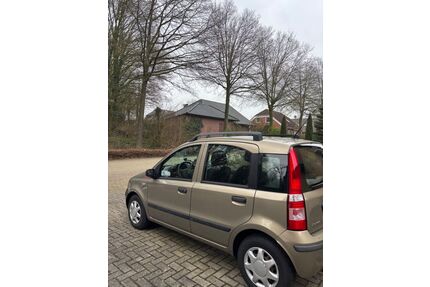 Fiat Panda Gebrauchtwagen
