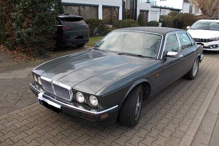 Jaguar XJ40 Gebrauchtwagen