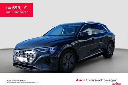 Audi Q8 e-tron Gebrauchtwagen