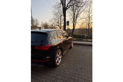 Audi SQ5 Gebrauchtwagen