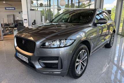 Jaguar F-Pace Gebrauchtwagen